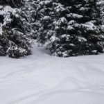 Der Aufstieg verschwindet im Wald © Gipfelfieber