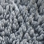 Verschneite Wälder © Gipfelfieber