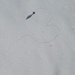 Herzliche Kunst im Schnee © Gipfelfieber