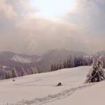 Ski und Schneeschuhwandern zum Mühlhörndel © Gipfelfieber