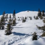 Vereinzelte Bäume © Gipfelfieber