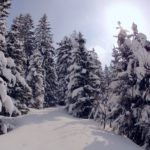 Schneeschuhwandern im Winterwunderland © Gipfelfieber