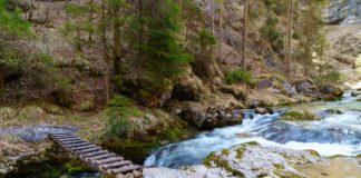 Abenteuer Glemmbachklamm: © Gipfelfieber