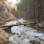 Der Baumstamm hilft beim Überqueren © Gipfelfieber