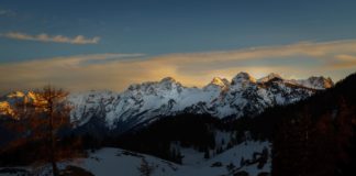 Alpengucken: Frühlingserwachen am Thällerer Kogel © GipfelfieberAlpengucken: Frühlingserwachen am Thällerer Kogel © Gipfelfieber