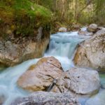 Im Zauberwald © Gipfelfieber