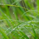 Regentropfen © Gipfelfieber