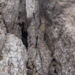 Im Kamin © Gipfelfieber