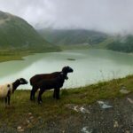 Über dem Pitztal: Auf dem Fuldaer Höhenweg zum Rifflsee © Gipfelfieber