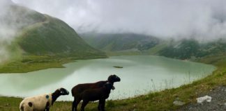 Über dem Pitztal: Auf dem Fuldaer Höhenweg zum Rifflsee © Gipfelfieber