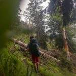 Durch den Wald © Gipfelfieber