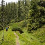 Kleine Moorseen am Goldgräberweg © Gipfelfieber