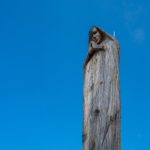 Die Madonna auf dem Persailhorn © Gipfelfieber