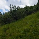 Abzweig zum Laubeneck © Gipfelfieber