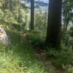 Aufstieg von Linderhof © Gipfelfieber