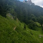 Pürschling im Blick © Gipfelfieber