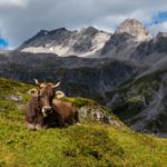 Montafoner Hüttenrunde durch das Rätikon: Mitten ins Herz © Gipfelfieber