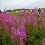 Am Gipfel © Gipfelfieber