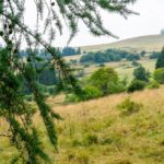 Blick zurück zur Wasserkuppe © Gipfelfieber