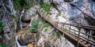 Wasser marsch! Wandern durch die Bärenschützklamm © Gipfelfieber