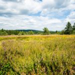 Am Rothaarsteig © Gipfelfieber