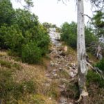 Auf und Ab am Kamm © Gipfelfieber