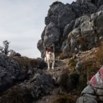 Felsige Abschnitte © Gipfelfieber