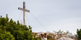 Die Gedererwand: Die kleine Schwester der Kampenwand © Gipfelfieber
