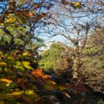 Im Herbstwald zum Friedenrath © Gipfelfieber