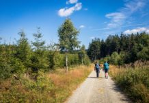 Wanderung auf den Langenberg: In NRW ganz oben Projekt 16 Gipfel: Der Langenberg - In NRW ganz oben © Gipfelfieber