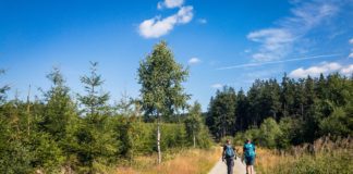 Projekt 16 Gipfel: Der Langenberg - In NRW ganz oben © Gipfelfieber