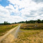 Auf der Heide © Gipfelfieber