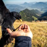 November 2019 © Gipfelfieber