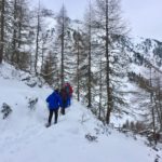 Im lichten Wald © Gipfelfieber