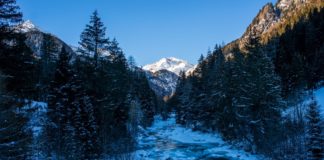 Schneeschuhwandern im Defereggental: Fährtenlesen für Einsteiger © Gipfelfieber