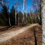 Durch Wälder © Gipfelfieber