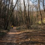 Kahler Wald © Gipfelfieber