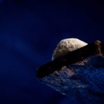 Knetkäse à la Alpenparmesan © Gipfelfieber