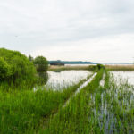 Am Chiemsee-Ufer © Gipfelfieber