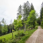 Kurze Aussicht © Gipfelfieber