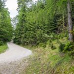 Am Fuß des Rauschbergs © Gipfelfieber