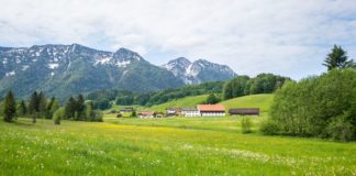 5. Etappe auf dem SalzAlpenSteig: Von Ruhpolding nach Inzell © Gipfelfieber