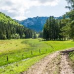 Wildenmoos © Gipfelfieber