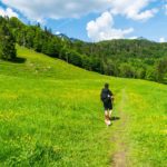 Bunte Almwiesen © Gipfelfieber