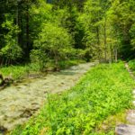 Am Weißbach © Gipfelfieber