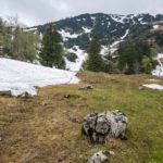 Abstieg vom Hochfelln © Gipfelfieber