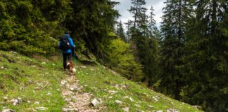 4. Etappe auf dem SalzAlpenSteig: Vom Hochfelln nach Ruhpolding © Gipfelfieber