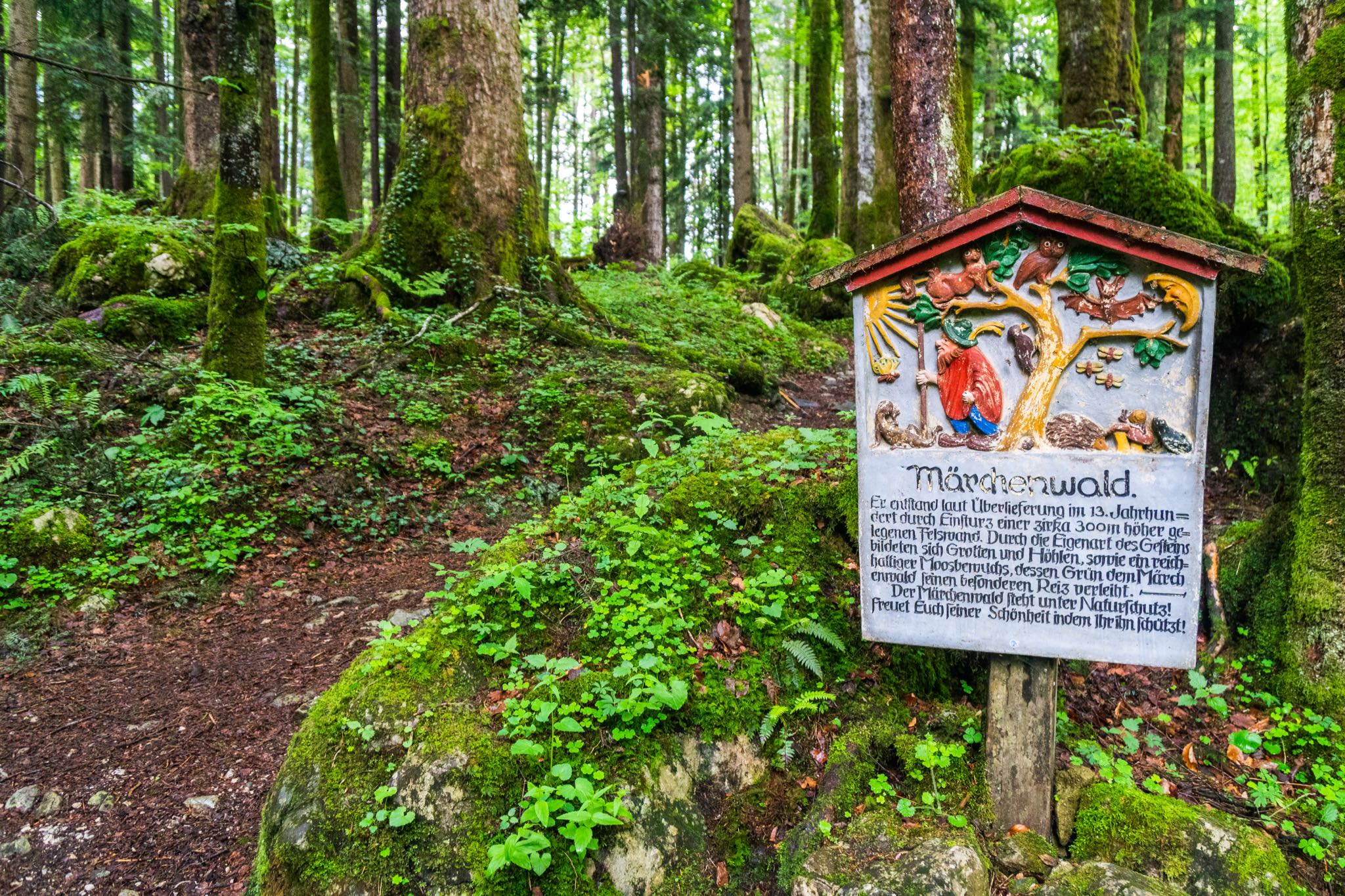 Märchenwald © Gipfelfieber