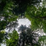 Licht © Gipfelfieber