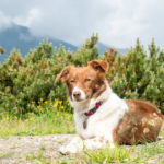 Glückliche Mira auf dem Innsbruck Trek © Gipfelfieber